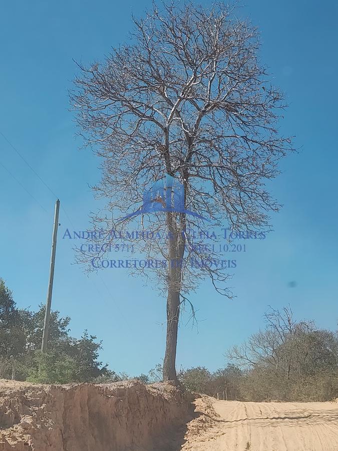 Terreno - área rural