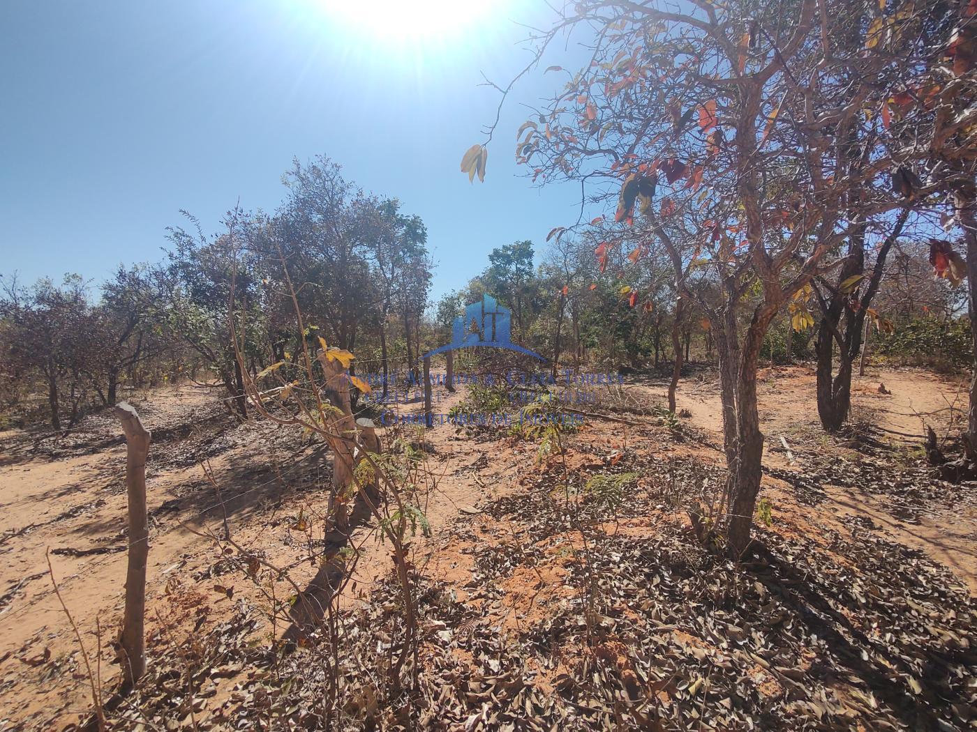 Terreno - área rural