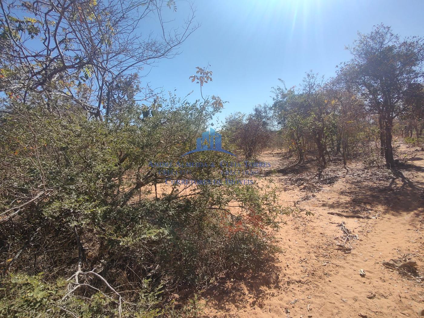 Terreno - área rural