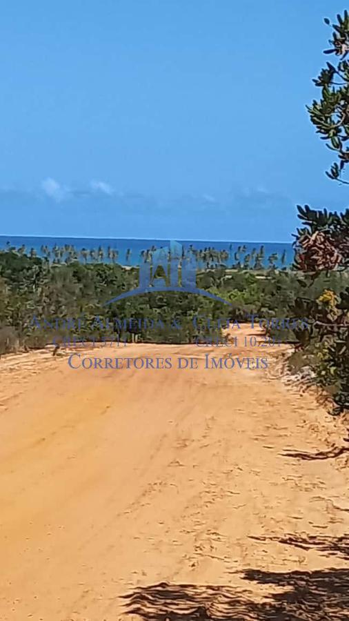 Terreno - Praia do forte